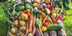 Reach Next Level Independence By Growing Your Own Food