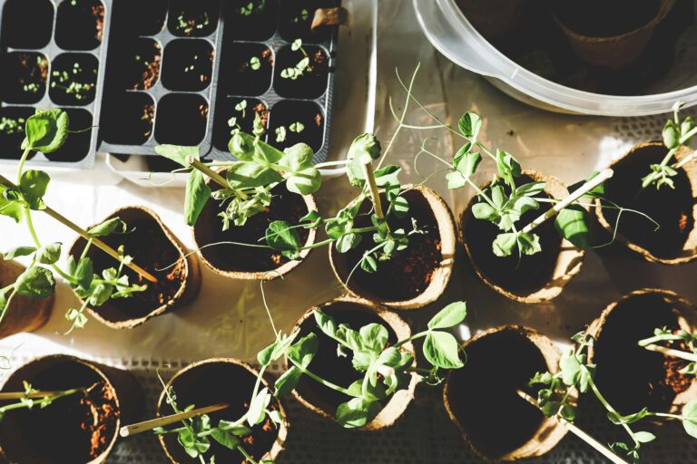 AI Gardening Tips to Grow the Perfect Garden Faster