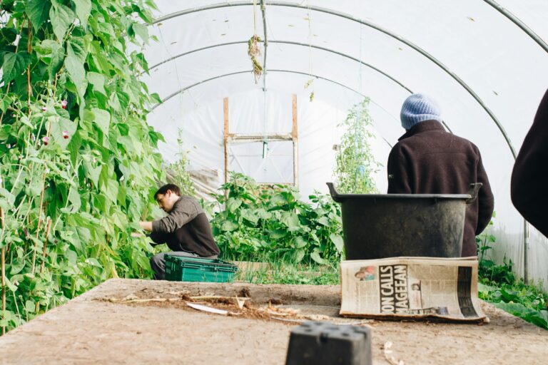 Can I Use AI to Design My Garden?