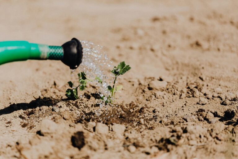 How Is AI Used in Irrigation?