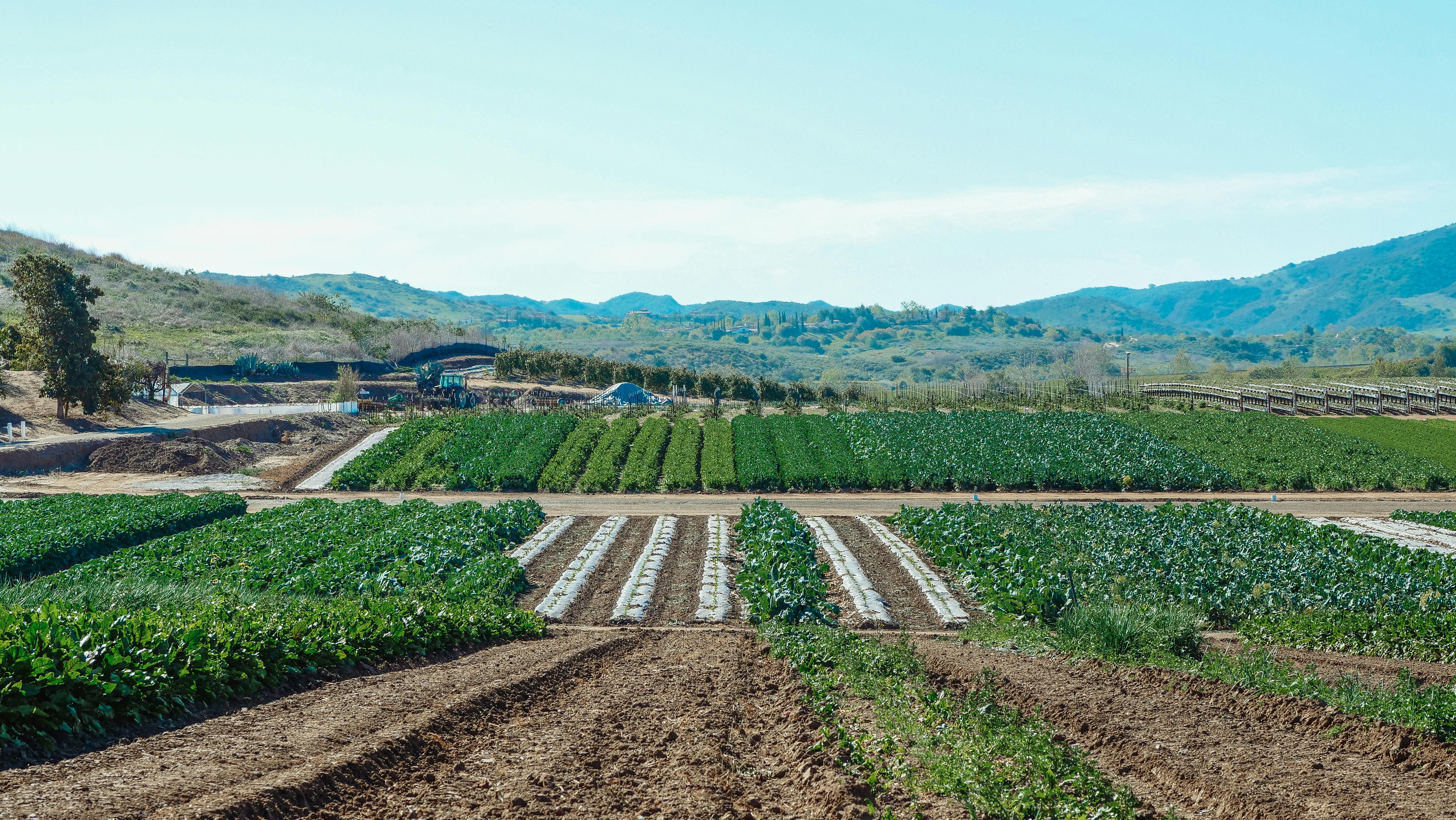 Can Robots Do Gardening?