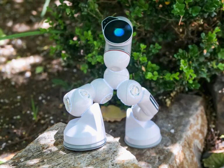 5 AI Tools That Make Gardening Easier for Beginners