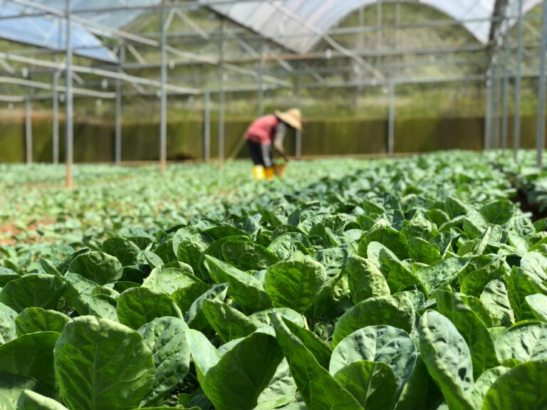 What Is AI Gardening? Everything You Need to Know