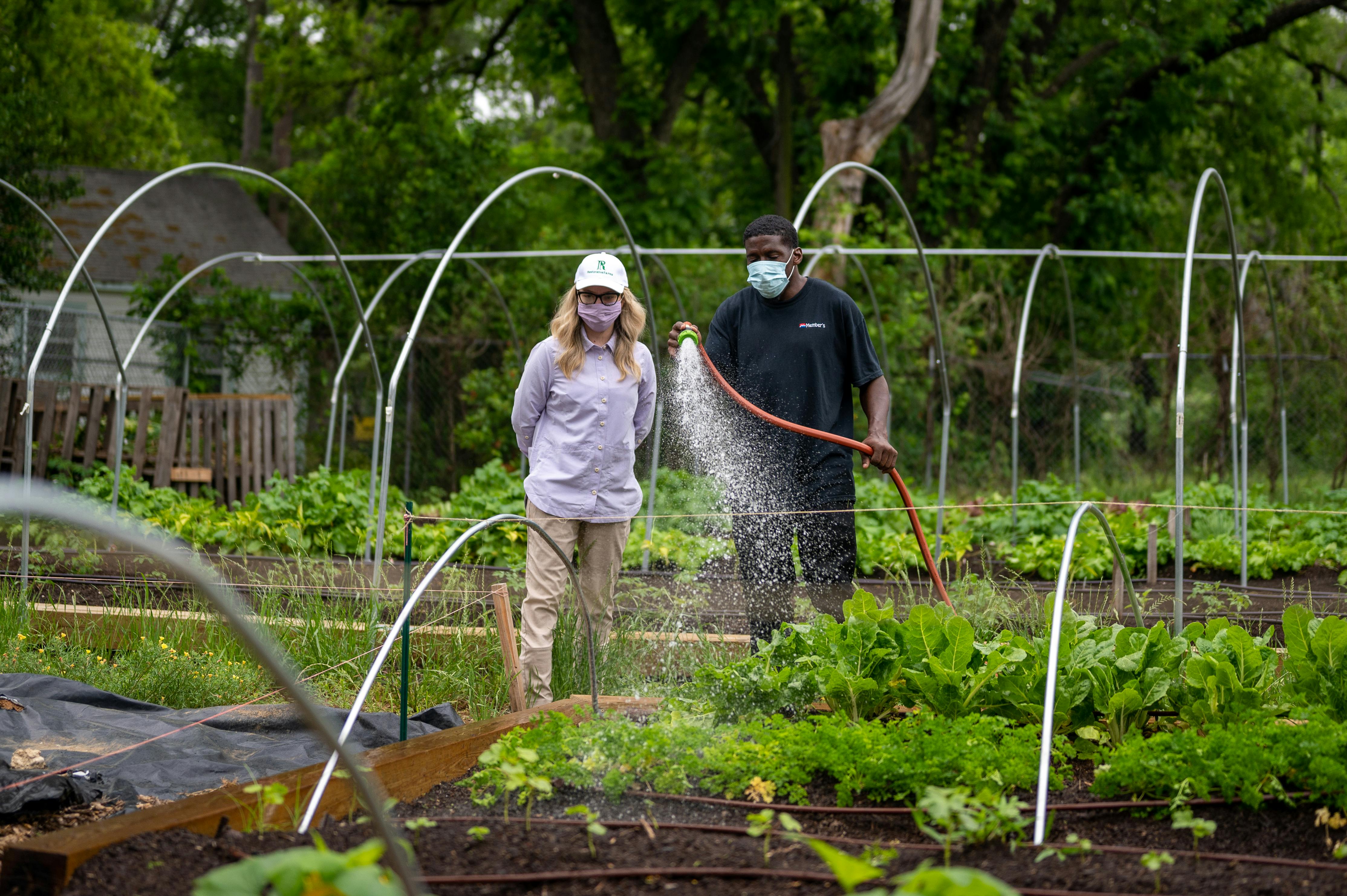 Growing a Zero-Waste Garden with AI Tools