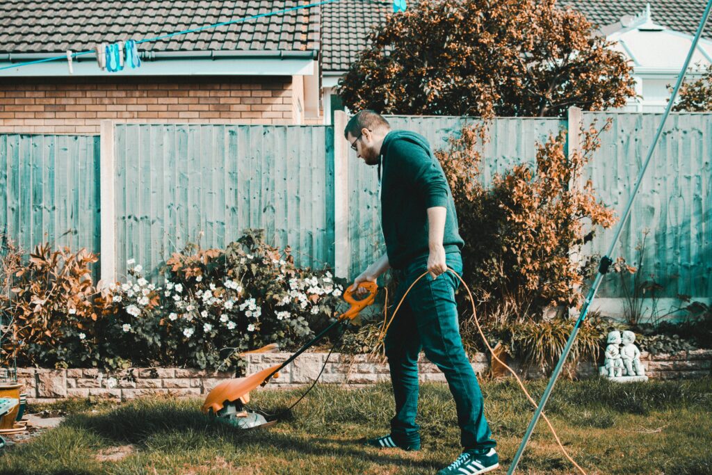 How AI Identifies and Fixes Common Gardening Problems