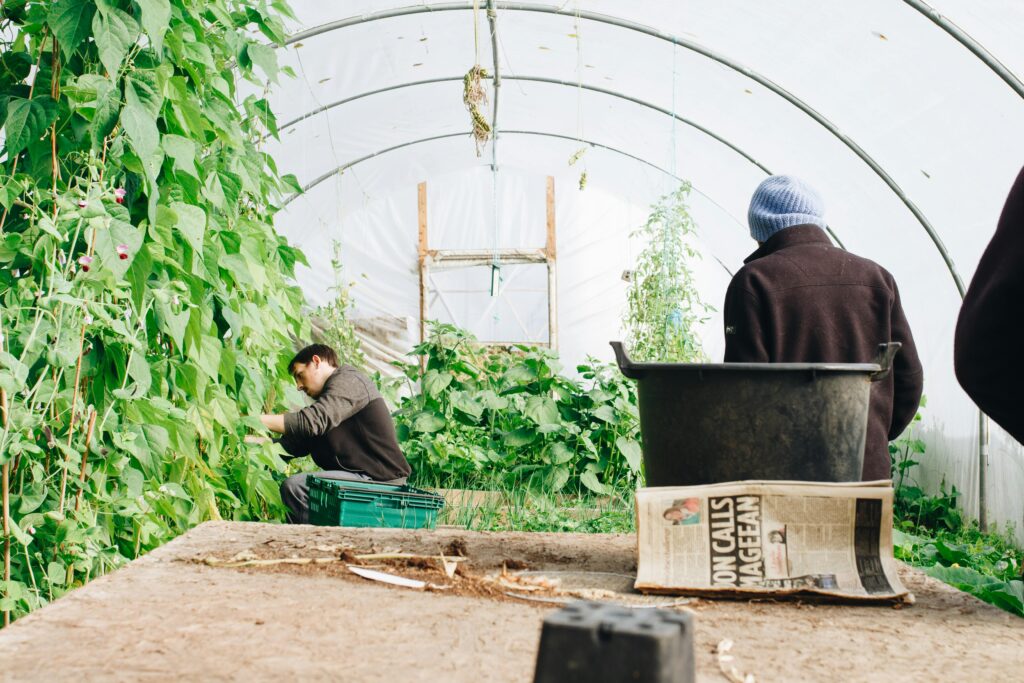 How AI Predicts the Best Times to Plant and Harvest