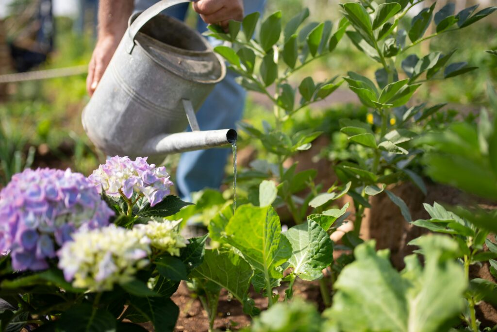 How AI Helps Reduce Water Waste in Your Garden