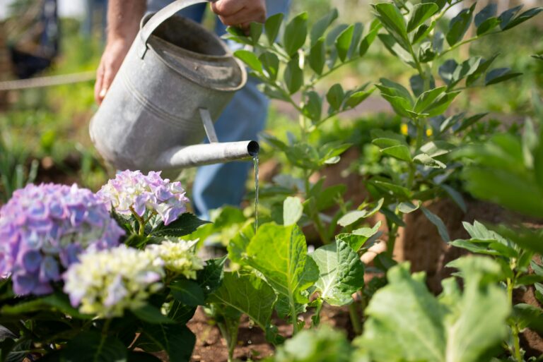 How AI Helps Reduce Water Waste in Your Garden
