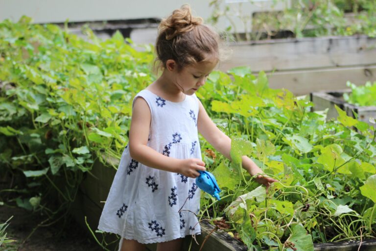 10 Stunning AI-Powered Smart Gardens You&rsquo;ll Want to Copy