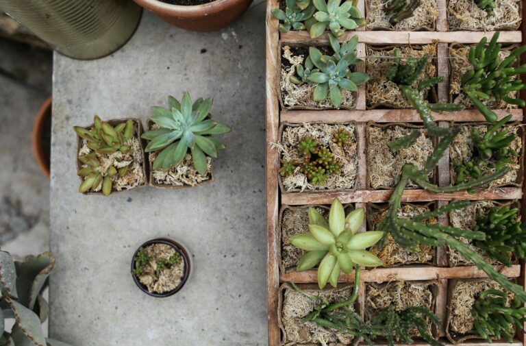 Small Space Gardening: How AI Can Help You Succeed