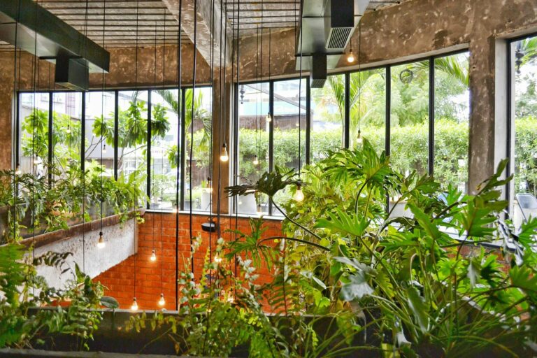 Growing Organic Vegetables Indoors with AI